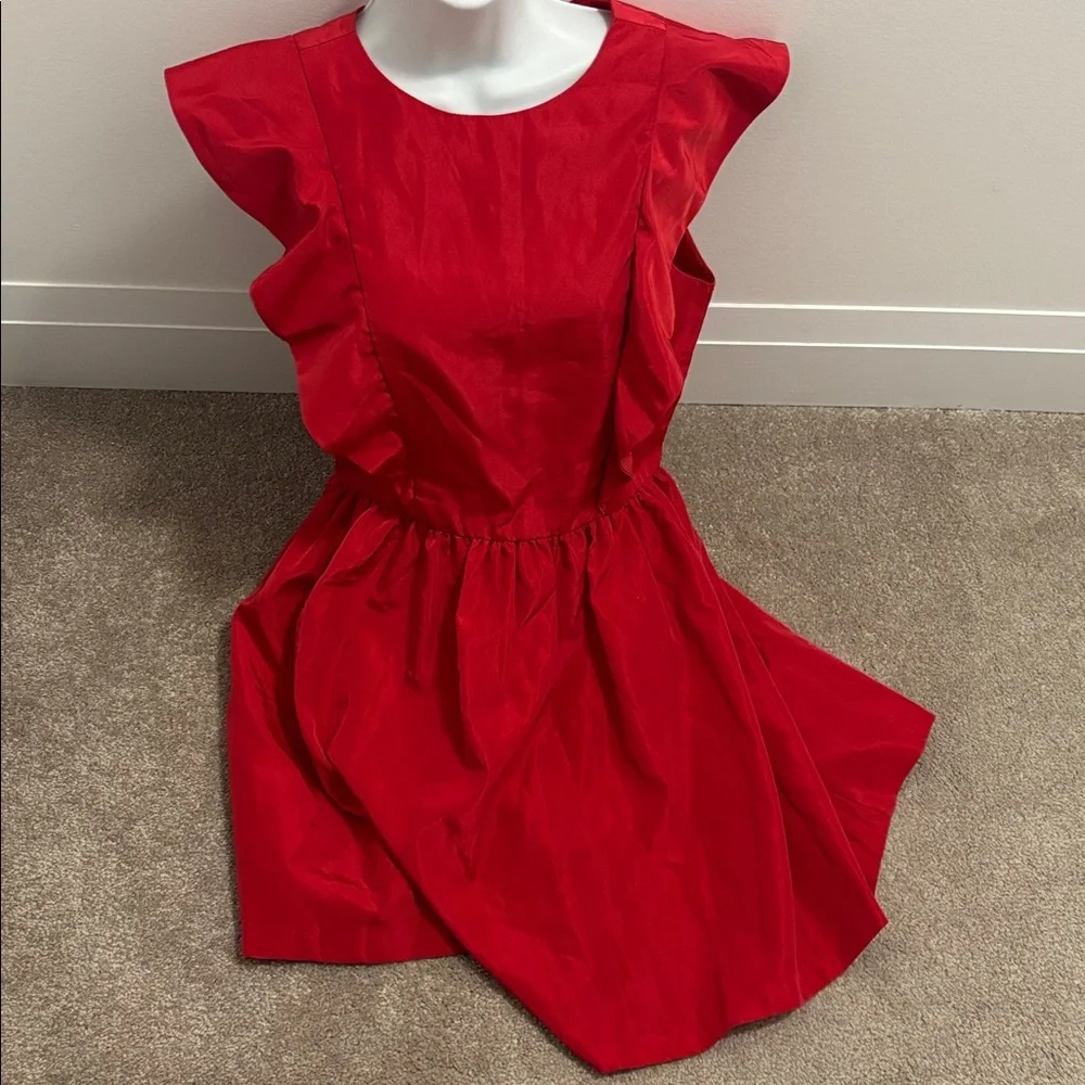 Zara Vibrant Red  Frill Mini Dress - Picture 3 of 12
